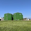 鄉村觀察︱惡臭糞污靠什麼成鄉村振興“綠色密碼”2025年6月19日